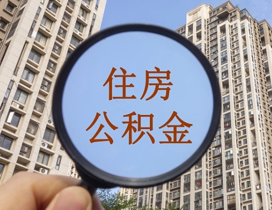 公积金利率怎么查询-永安公积金代办平台